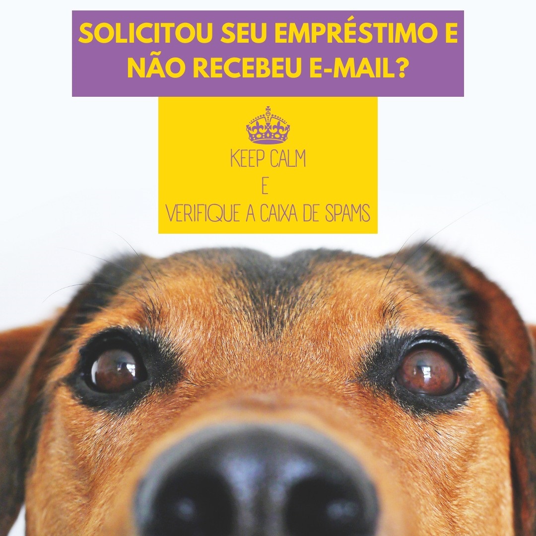 keep calm e verifique spam